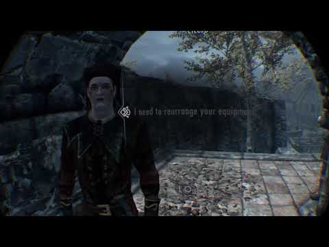 Funny Cicero | Skyrim VR