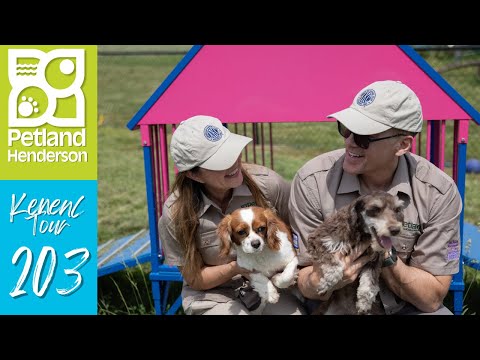 Petland Henderson Kennel Tour 203