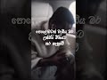 Pitakavare Sanjeew Lonliyes Shorts Foryou Trending Lyricsstatus Whatsappstatus