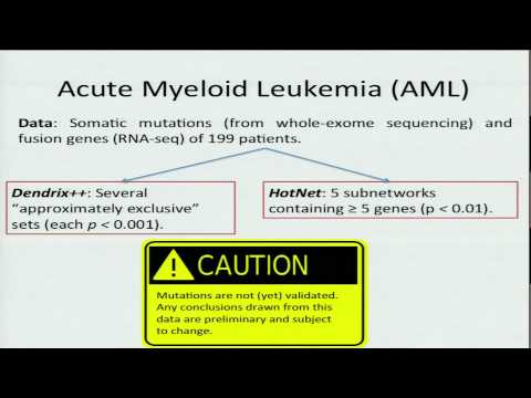 Algorithms for Automated Discovery of Mutated Pathways in Cancer - Ben Raphael