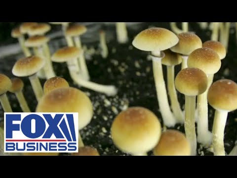 Ex-Mormon creates a psychedelic church for worship