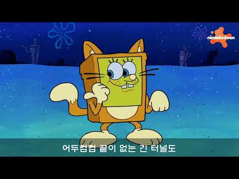 엔하이픈 타요송