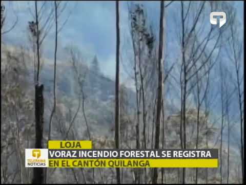 Voraz incendio forestal se registra en el cantón Quilanga