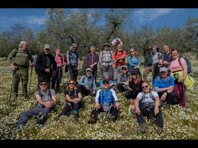 Primavera & Amendoeiras 2026