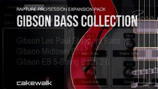 Video thumbnail for Gibson Bass Collection Expansion Pack for Rapture Pro & Rapture Session by Cakewalk