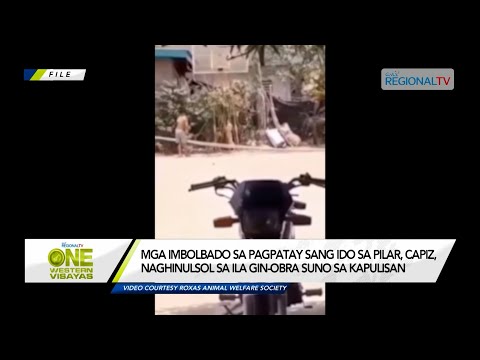 One Western Visayas: Mga imbolbado sa pagpatay sang ido sa Pilar, Capiz, naghinulsol