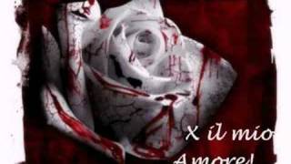 Amo te di Massimo Di Cataldo