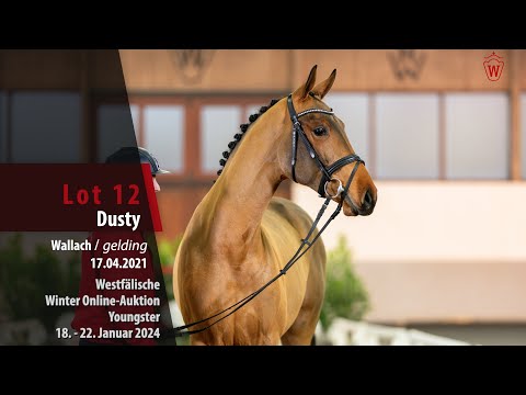 Winter-Auktion Youngster Lot 12 Dusty Wallach v. Diathago - All Music