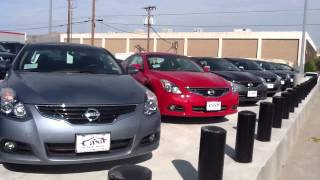 Dawn of the Nice Guys