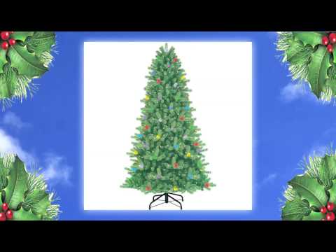 Your Environmental Minute 13 - "The Holiday Season"