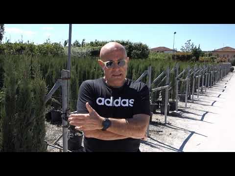 LIFE AgriSed - Cultivation trials protocol - Irrigation