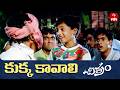 Kukka Kavali Full Video Song Chitram Uday Kiran Reema Sen Watch On ETVWIN
