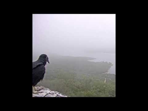 63. Arthrn - i like the bass on that one [19.11.2018]