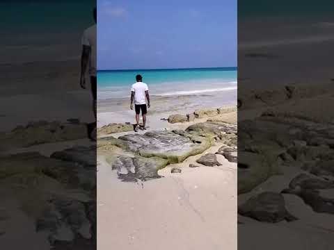 LIVE YOUR LIFE WITH FREEDOM|ANDAMAN|BEACH|BLUE WATER|#ytshorts  #youtube  #blogger #youtubeshorts