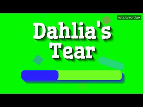 DAHLIA'S TEAR - HOW TO PRONOUNCE IT!? (HIGH QUALITY VOICE)