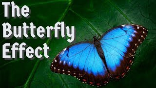 The Butterfly Effect [2020] - What Is The Butterfly Effect Theory?