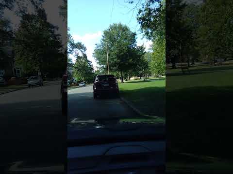 grand puba masta ace main source & the brand new heavies heavy rhyme experience theme