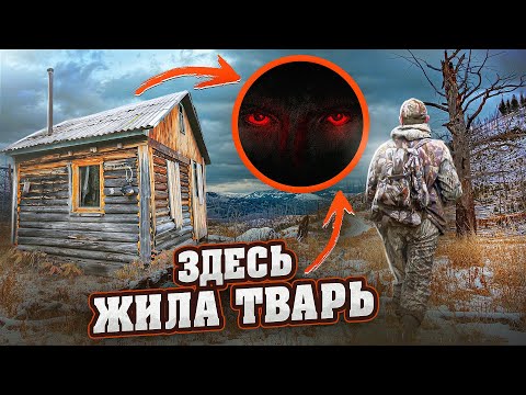 СТАЛО ИЗВЕСТНО КТО ПОРТИТ ЛЕСНЫЕ ИЗБУШКИ, МУЖИКИ В ШОКЕ