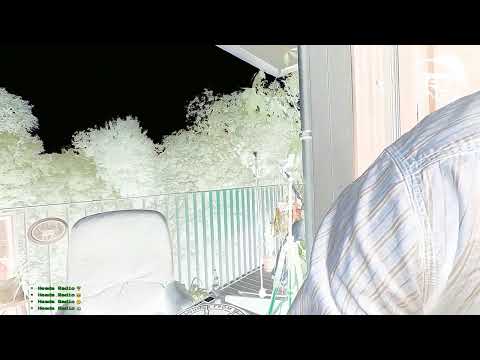 Decha *Live - Heads Radio 0073 - Malka Tuti - 21.07.2021 - @ Sameheads