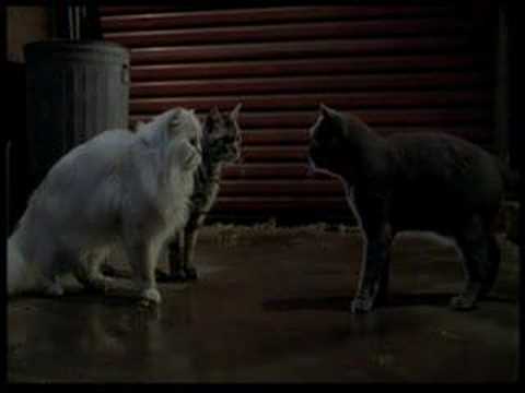 LetyDarcy’s Video 70437489672 8JtPx92c5ZU