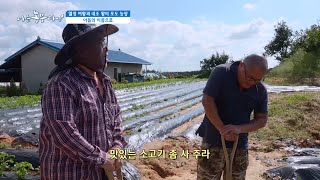 [열정 여왕과 내조 왕의 포도 농장] 아들의 이름으로...