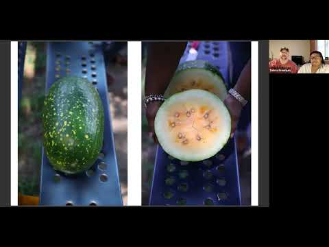 In Search of the Greatest Heirloom Watermelon with Debra Freeman and Joshua Fitzwater
