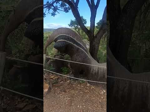 PARQUE PAUÁ CAPITÓLIO MINAS GERAIS PARTE 3