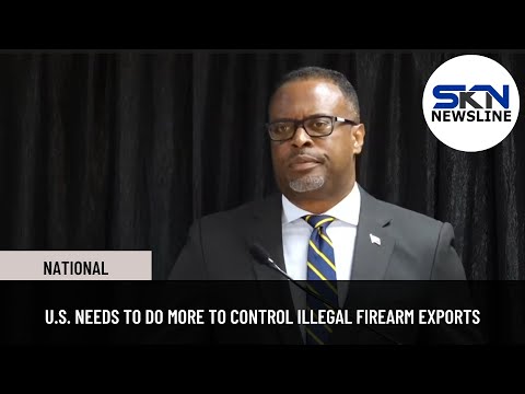 U S NEEDS TO DO MORE TO CONTROL ILLEGAL FIREARM EXPORTS
