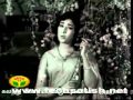 VelliNila Vaanathile Kathal Paduthum Paadul