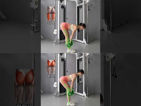 📌 RDL vs. SDL | What’s the difference?