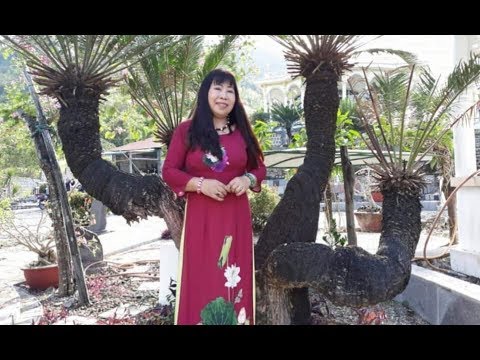 Thể hiện bởi Siu Black
