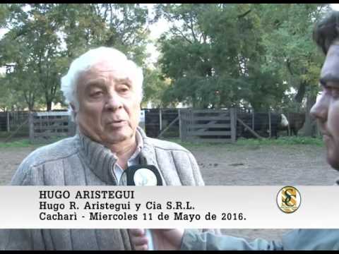 11-05-16 Nota Hugo Aristegui - Hugo R. Aristegui y Cia S.R.L. - Cacharì.