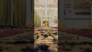 Download lagu story wa YA ALI YABNA ABI THALIB mp3 Download lagu story wa YA ALI YABNA ABI THALIB mp3