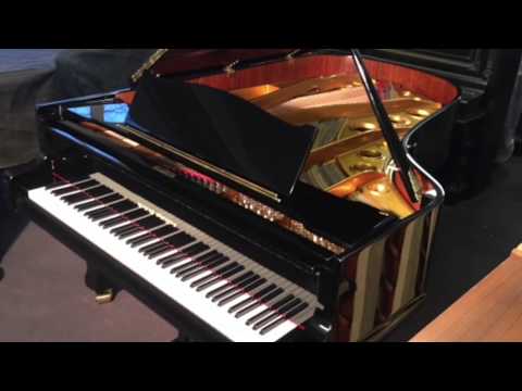 Klangprobe I August Förster Flügel. Klavierhaus Köpenick. Die Gedanken sind frei