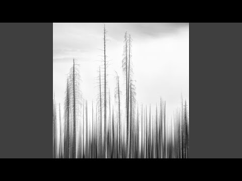 They Look Like People