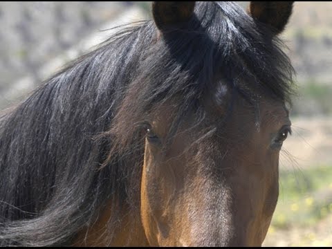 I Called Him... And He Came