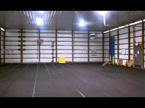 Maera the weimaraner catching frisbee 3.