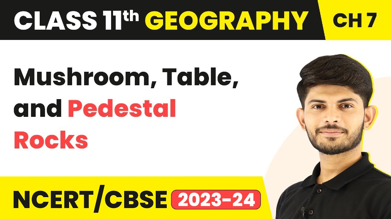 Mushroom, Table, and Pedestal Rocks - Landforms and their Evolution | Class 11 Geography
