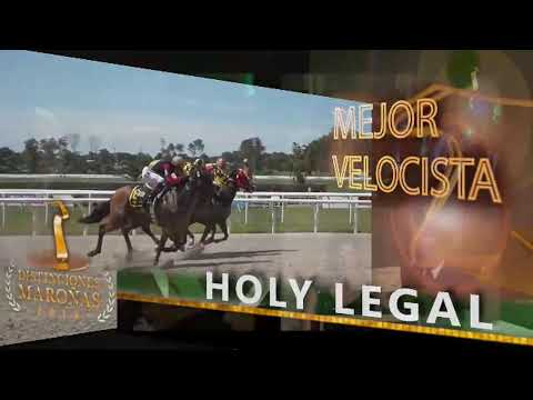 SINT MELO - HIPÓDROMO LAS PIEDRAS 13/04/2019