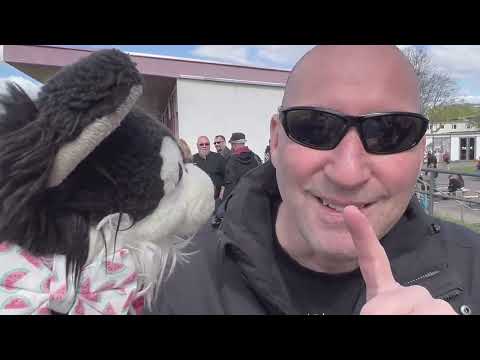 Chemie-Unterricht in Ostberlin: BFC Dynamo zeigt heftige Reaktion (07.05.23)