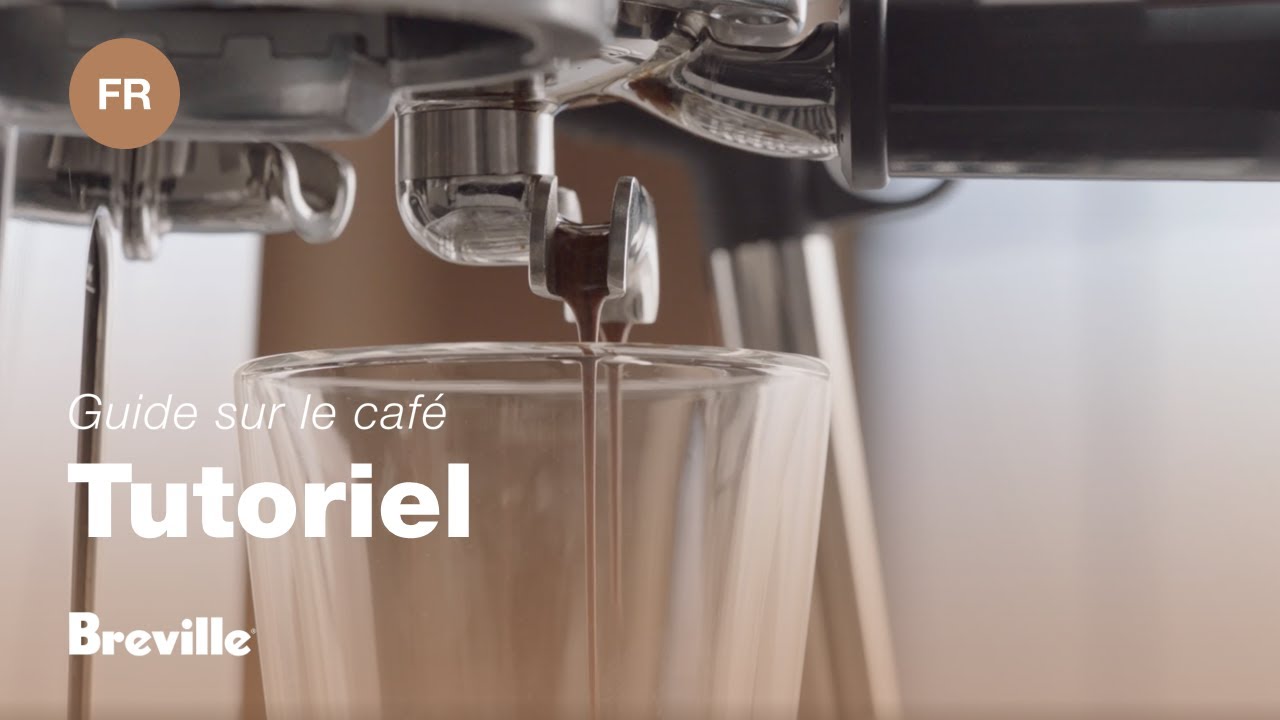 Guide didactique du café Breville - Équilibrer votre extraction