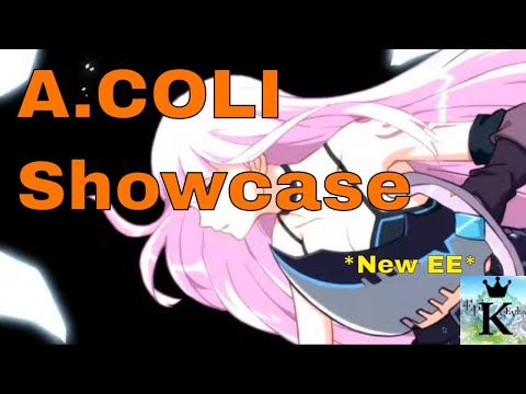 Is A.Coli GOOD Now? New EE Showcase (Epic 7)
