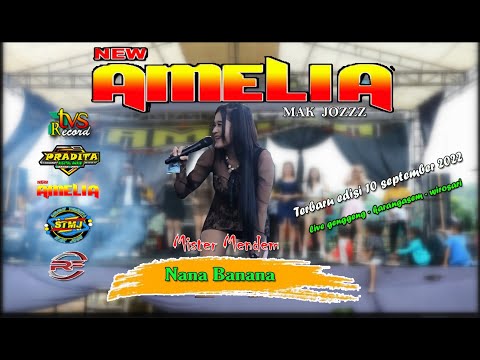 MISTER MENDEM ; NANA BANANA ; AMELIA MUSIC ; TVS RECORD ; PRADITA AUDIO
