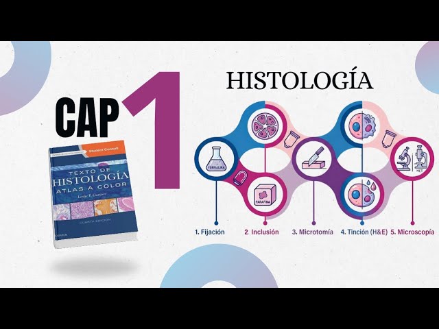Vídeo relacionado con Histologia Básica. Texto e Atlas
