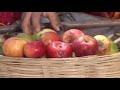Ek Rupaye Mein 1 Kilo 2 Rupaye Mein 2 Kilo Lelo Lelo Hamro Le Lo Hamro Bahiniyo Ke Le Lo