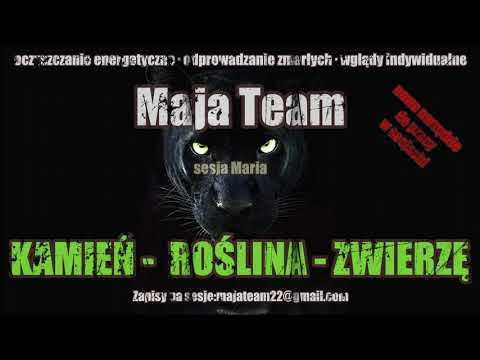 Maja Team: sesja Maria: KAMIEŃ - ROŚLINA - ZWIERZĘ