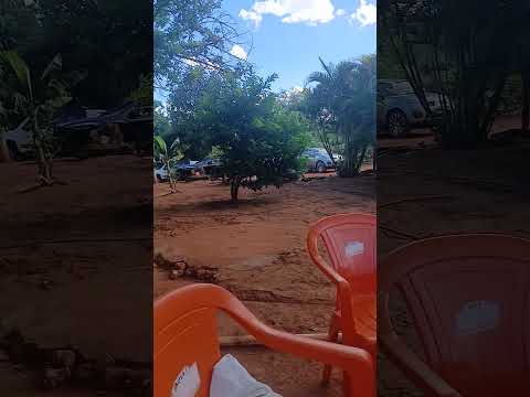 Sitio da Robenia Nova Redenção Bahia