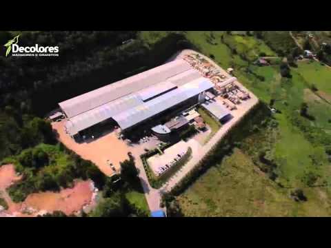 MARKETING VIDEO FOR ANTOLINI DO BRASIL 1 3gp