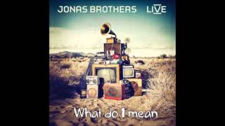 What do I mean - Jonas Brothers (Version studio)