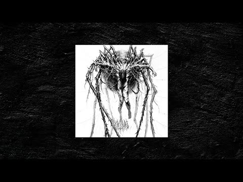 [FREE] EXPERIMENTAL x DARK x HARD TYPE BEAT - ’ARACHN1D’